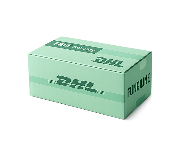 Free Delivery Box