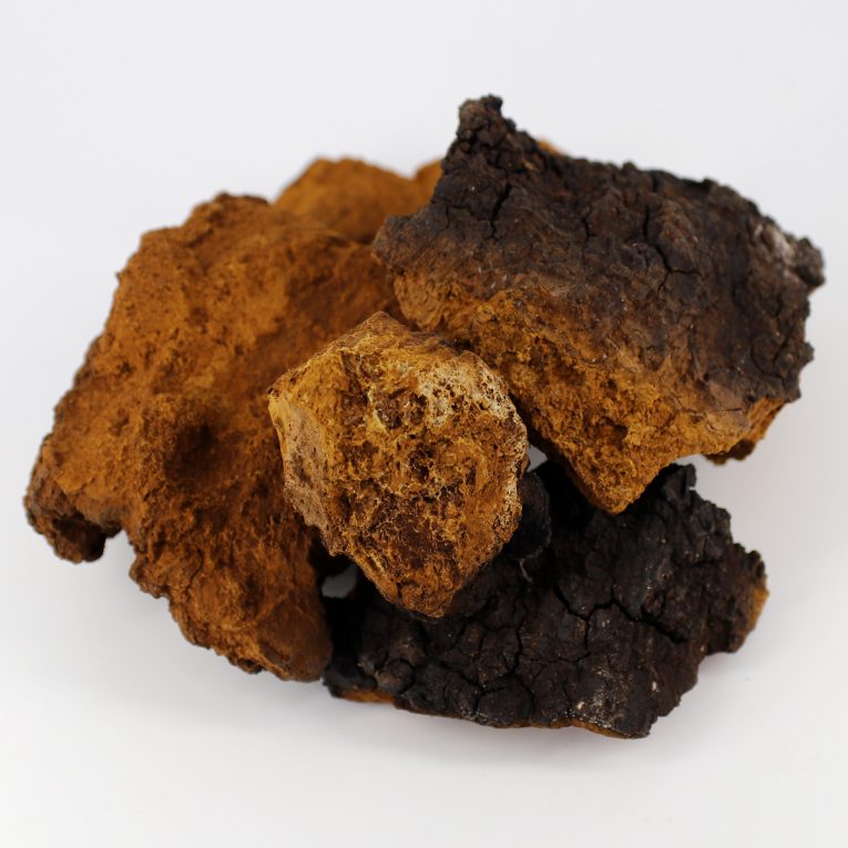 chaga_kuskovaya