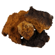 chaga_kuskovaya-Photoroom