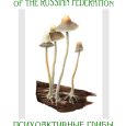 Postcards: Psychoactive Mushrooms