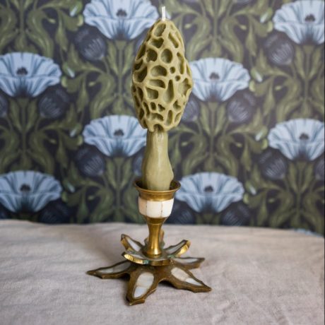 Candle "Morel" • Comfort by Fungiline